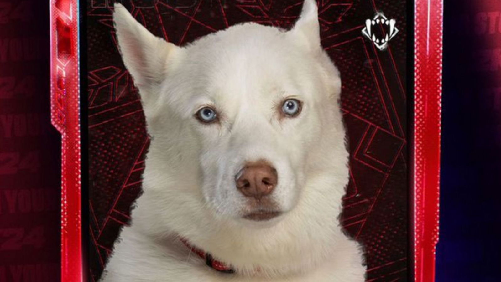 calling-the-dog-sh-thead-is-wild-dwayne-johnson-didn-t-even-leave