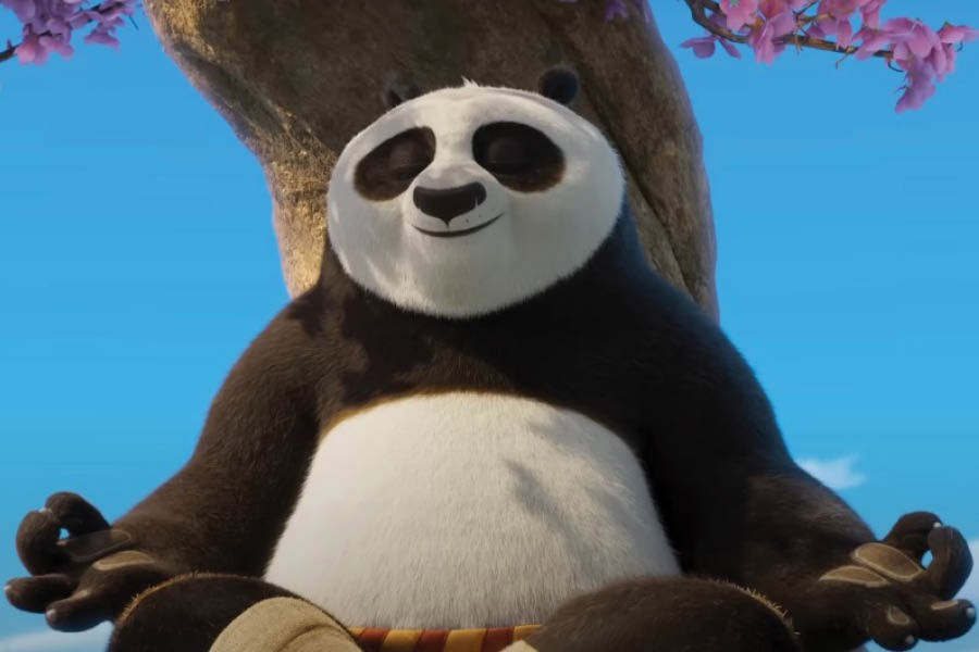Kung Fu Panda 4 managed to evolve Po and bring in new elements to the franchise