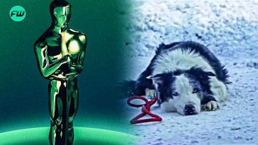 “It would cause a social media meltdown”: Viewers Call Oscars Integrity Into Question For Claiming a Dog Could Sway Voters’ Opinion
