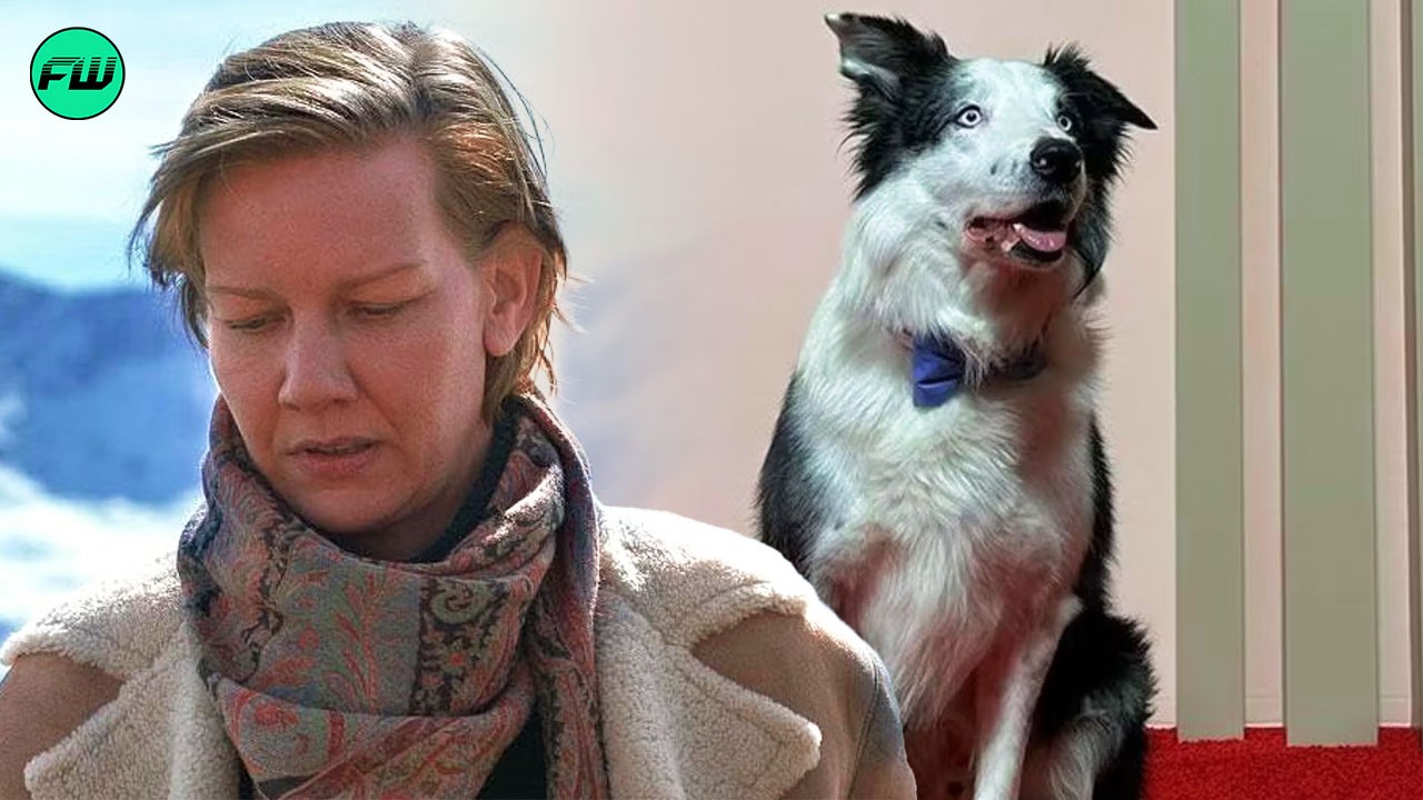 After Becoming an Internet Sensation, The Dog from Anatomy of a Fall is Being Banned from Attending the Oscars