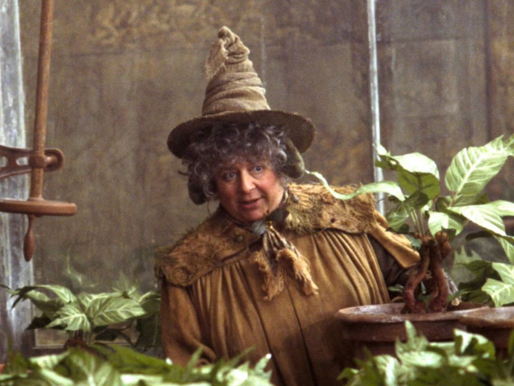 Miriam Margolyes as Professor Sprout in Harry Potter franchise