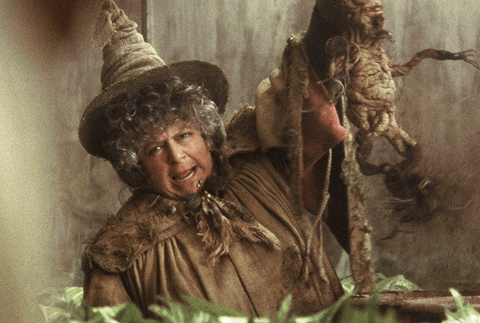 Miriam Margolyes as Professor Sprout in Harry Potter franchise