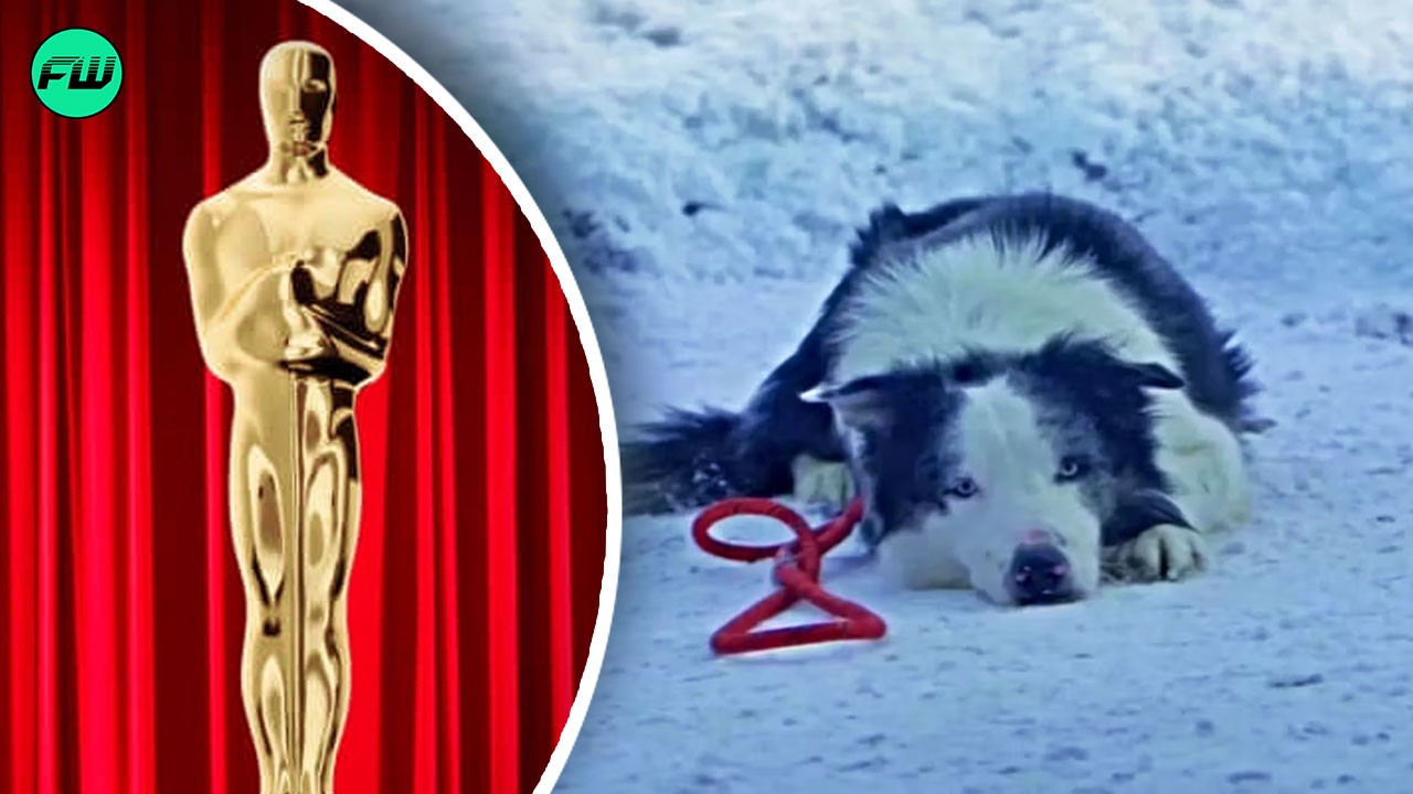 “It could’ve been super stressful for a dog”: Oscars 2024 Fooled the Audience With Messi’s Wholesome Scenes But Fans Are Ready to Forgive
