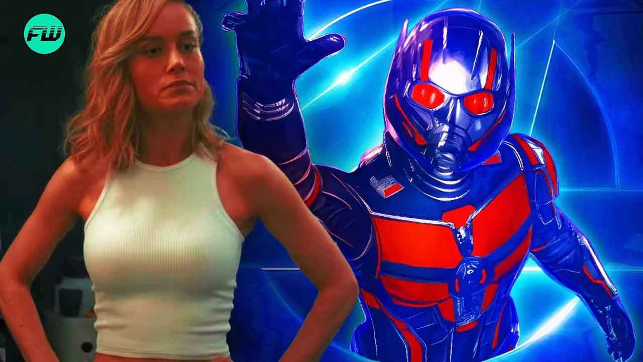 Concerning News For Brie Larson’s Fans, MCU Reportedly Not Interested in Ant-Man 4 and Captain Marvel 3