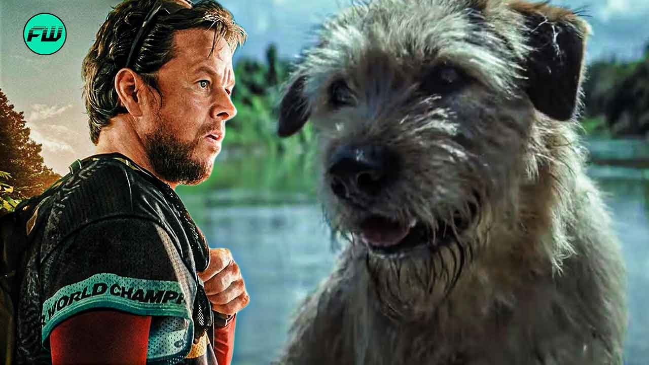 Disheartening Update for Mark Wahlberg Fans Planning to Watch Arthur the King in Theaters