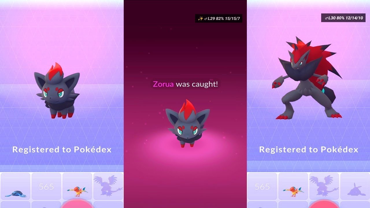 Zorua evolution in Pokémon GO