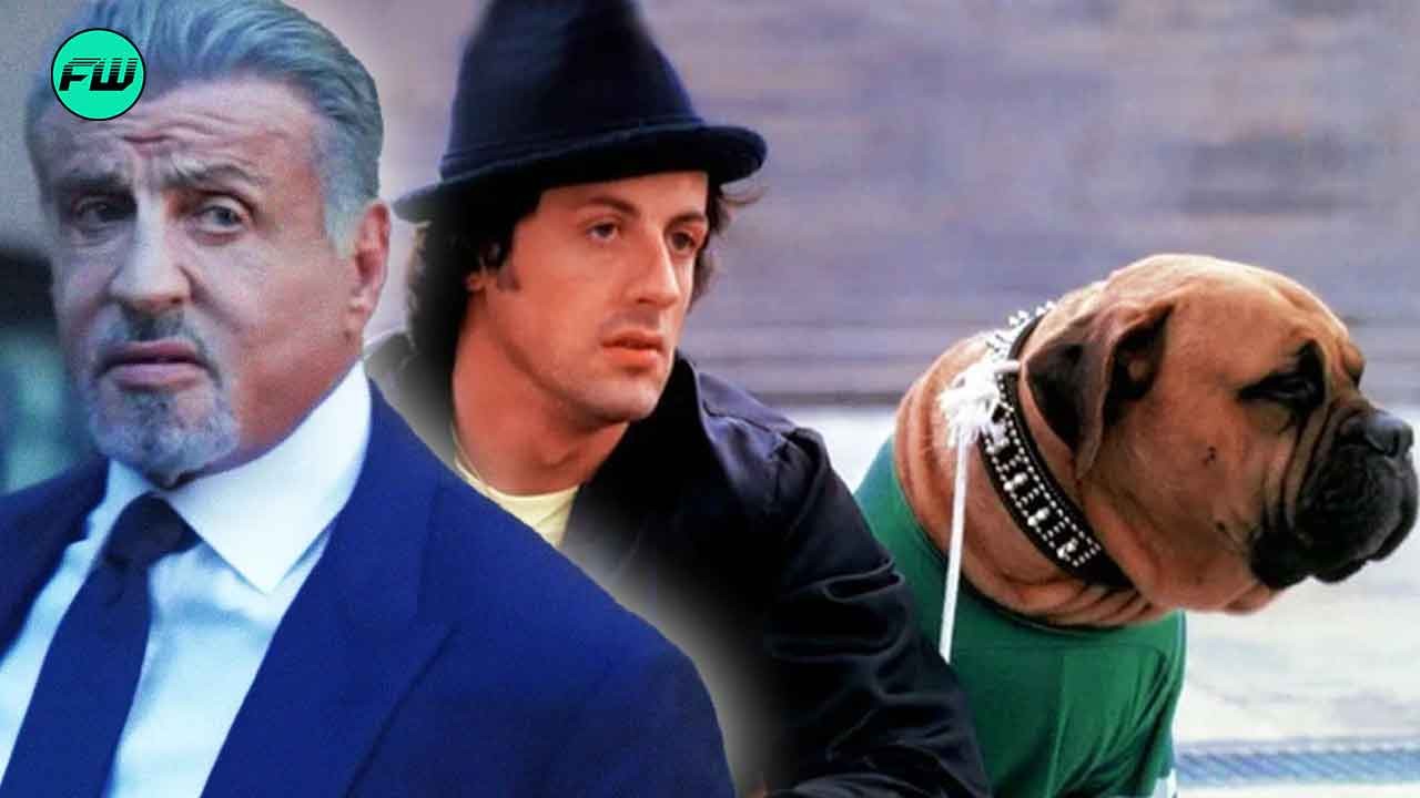 "He said he was gonna kill me": Sylvester Stallone Had to Sell His Dog Make Ends Meet, Was Forced to Pay Almost 80X the Amount to Buy Him Back after Selling Rocky Script for $1,000,000