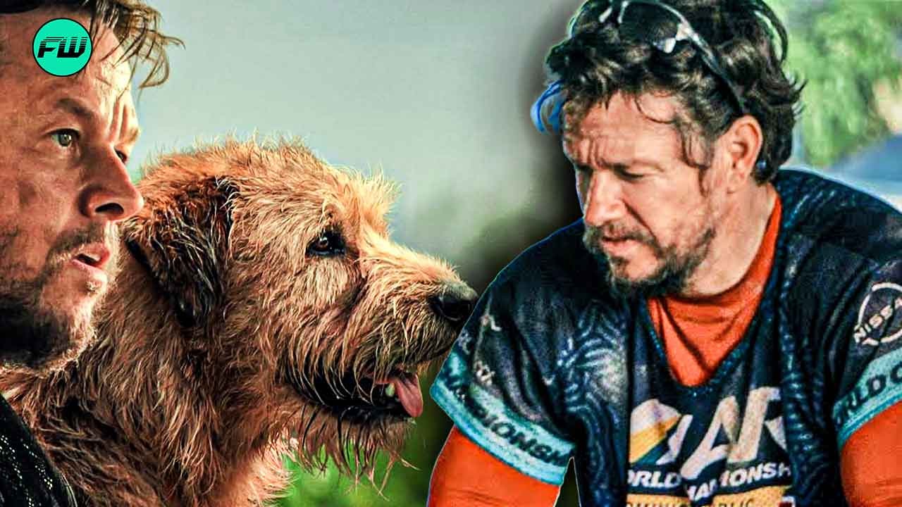 "He knew he had to save this dog": The Real Canine Story Behind Mark Wahlberg's Arthur the King Shows it Deserves More at the Box Office