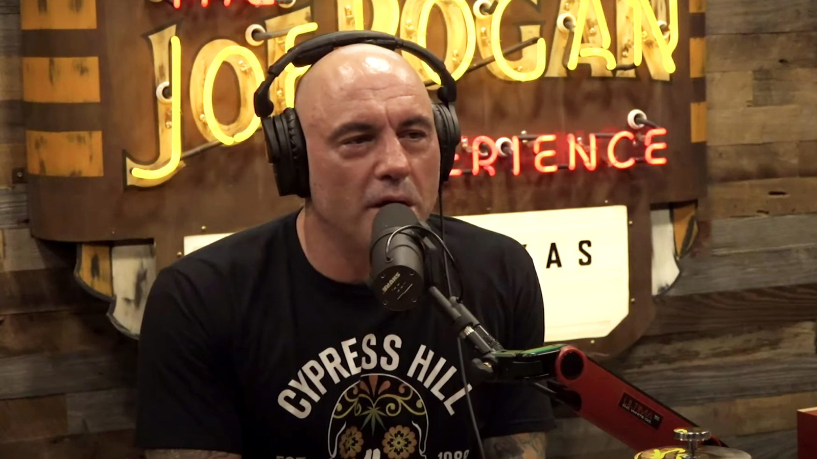 Joe Rogan Net Worth 2024: Podcast Earnings, Salary, and Investments