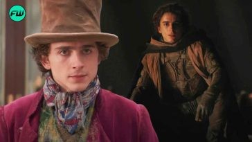 Timothée Chalamet Playing a DC Superhero Gets Closer to Reality After WB’s Deal With Dune 2 Phenomenon
