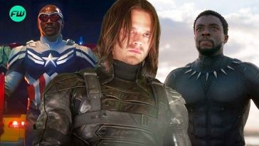 Sebastian Stan’s Absence from Captain America 4 Can Honor Chadwick Boseman’s Legacy by Setting Him Up to Become a Wakandan Superhero