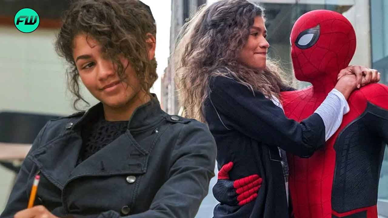 Zendaya Didn't Need Spider-Man's Help When a Toxic Fan Disapproved Her Casting in MCU