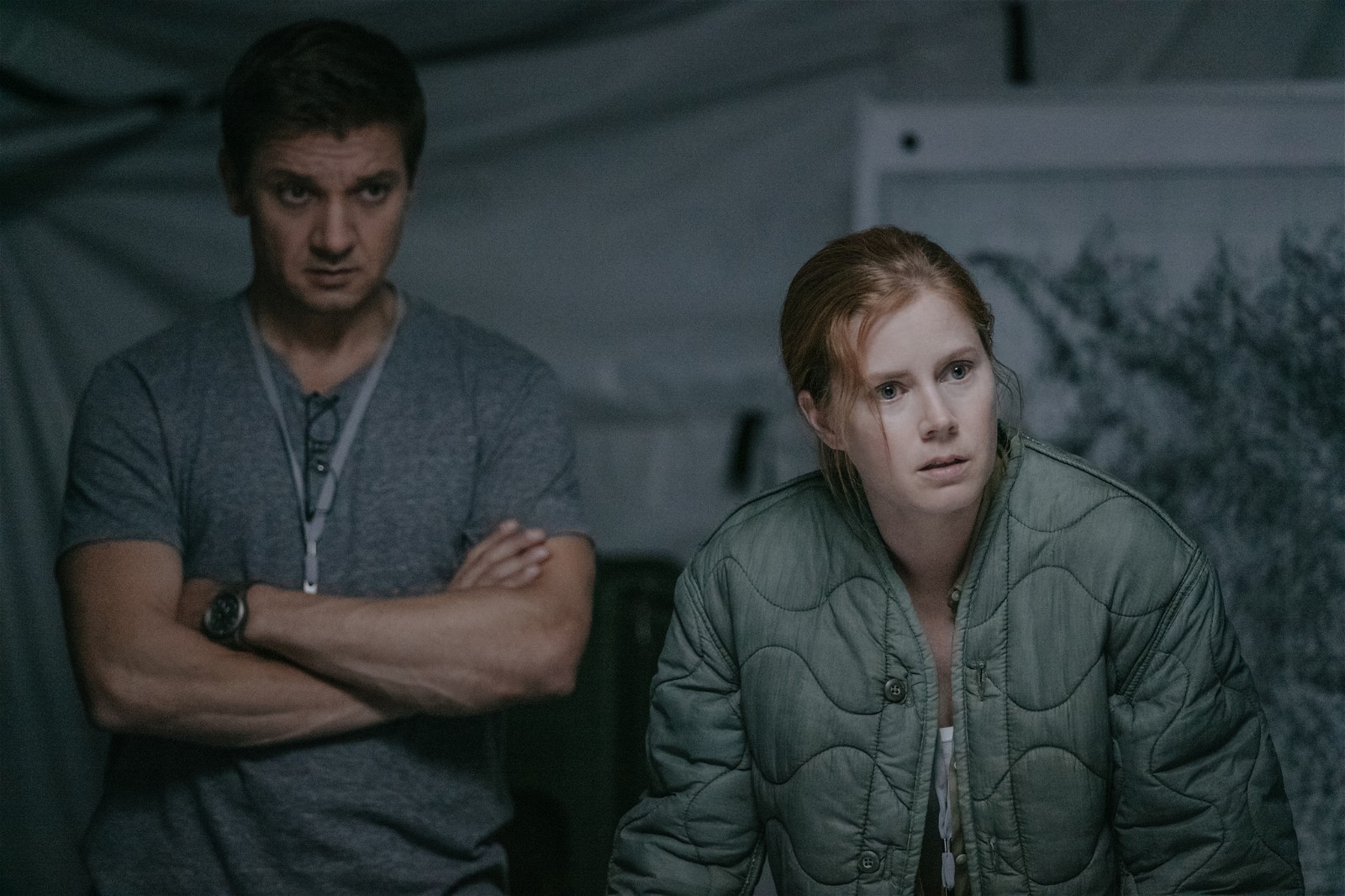 Jeremy Renner and Amy Adams' characters deconstructed alien behavior and language in Arrival