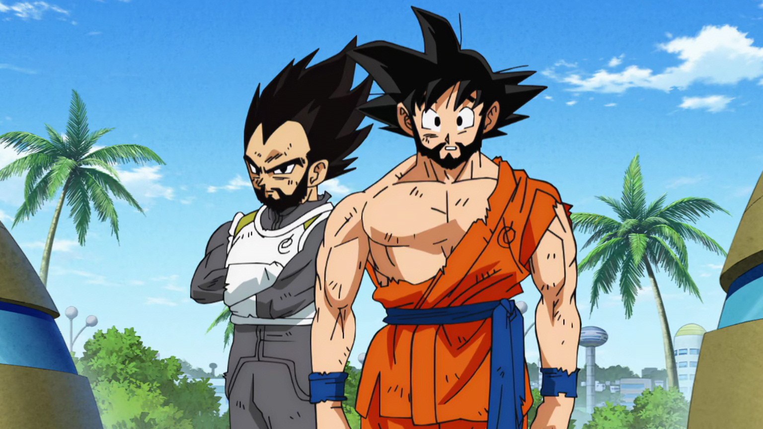 Goku and Vegeta's Beard