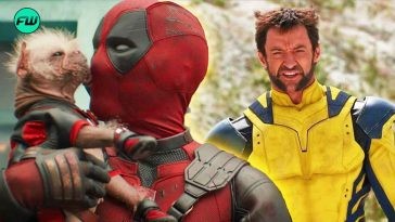 “It’ll be up there with the best comic book film of all time”: Deadpool Creator Makes a Bold Claim About Hugh Jackman Starrer Living Up to the Best MCU Movie (It’s not Infinity War)