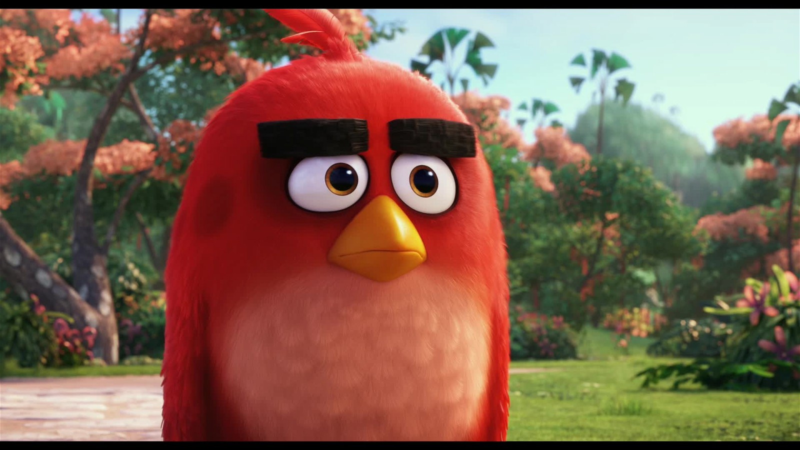 A still from The Angry Birds Movie