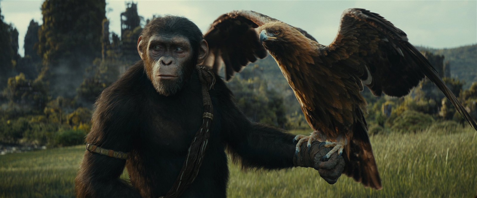 A still from Kingdom of the Planet of the Apes