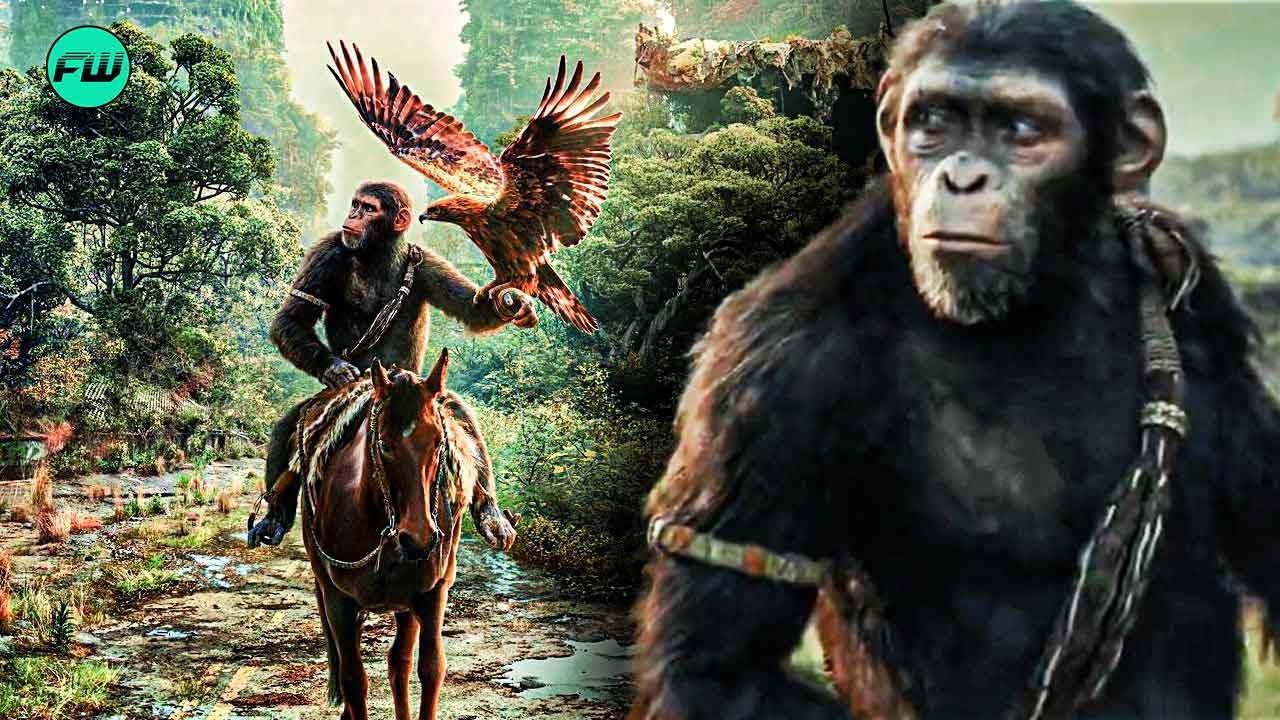 “Someone can still do that story”: Kingdom of the Planet of the Apes Director Wes Ball Wants Someone Else for a Much Demanded Spinoff