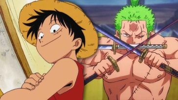 zorro on right and luffy on left from one piece