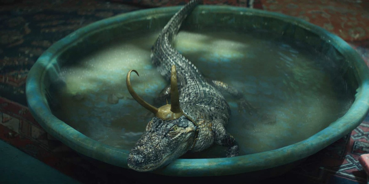 alligator loki 2