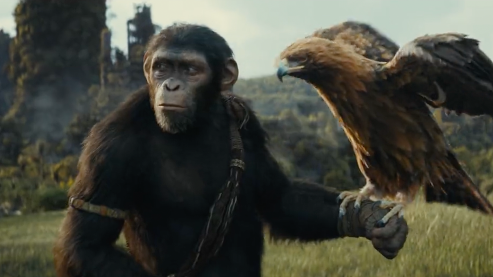 Young Ape in Kingdom of the Planet of the Apes