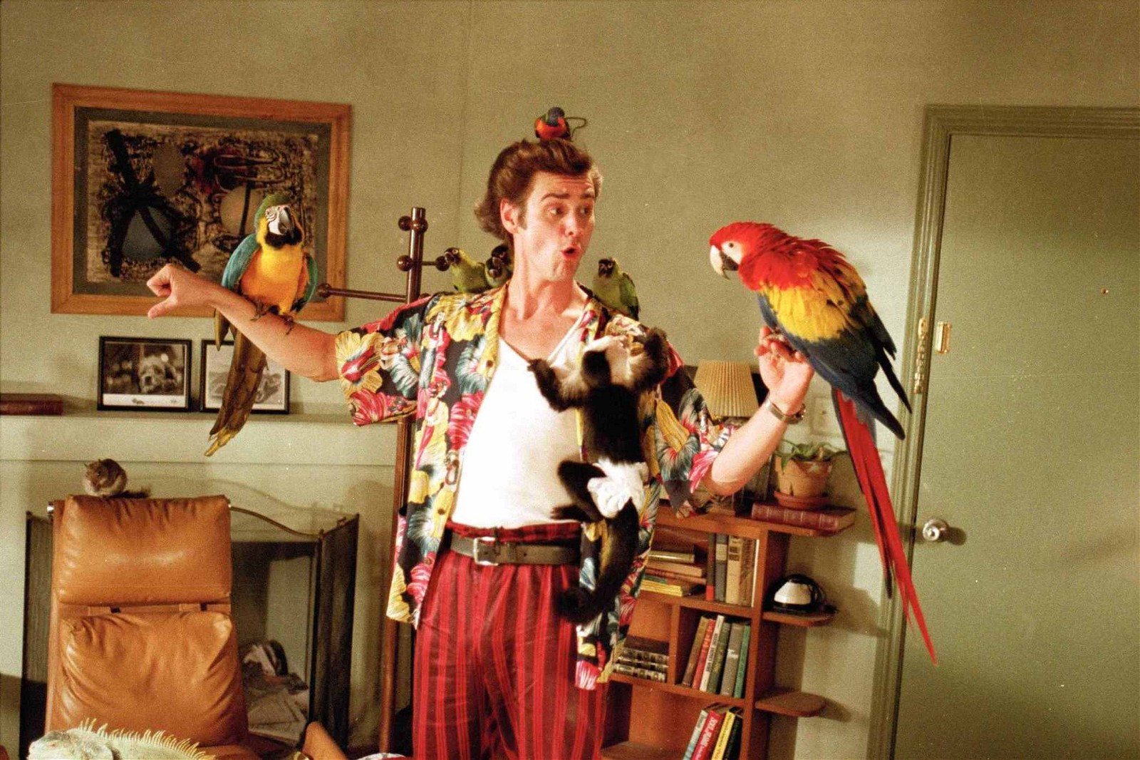 Jim Carrey with his birds in a still from Ace Ventura: Pet Detective