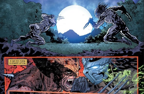 Wolverine vs Predator 