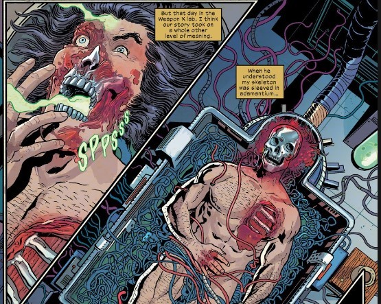 Predator burned Wolverine's face in Predator vs Wolverine #3