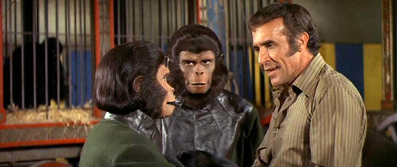 A still from Escape from the Planet of the Apes (1971)