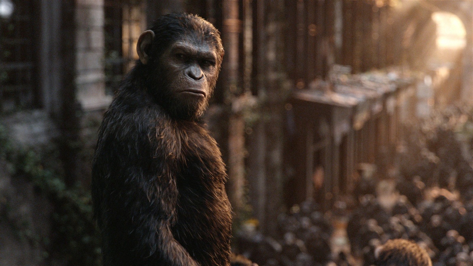 Caesar overlooking the community in Dawn of the Planet of the Apes (2014)