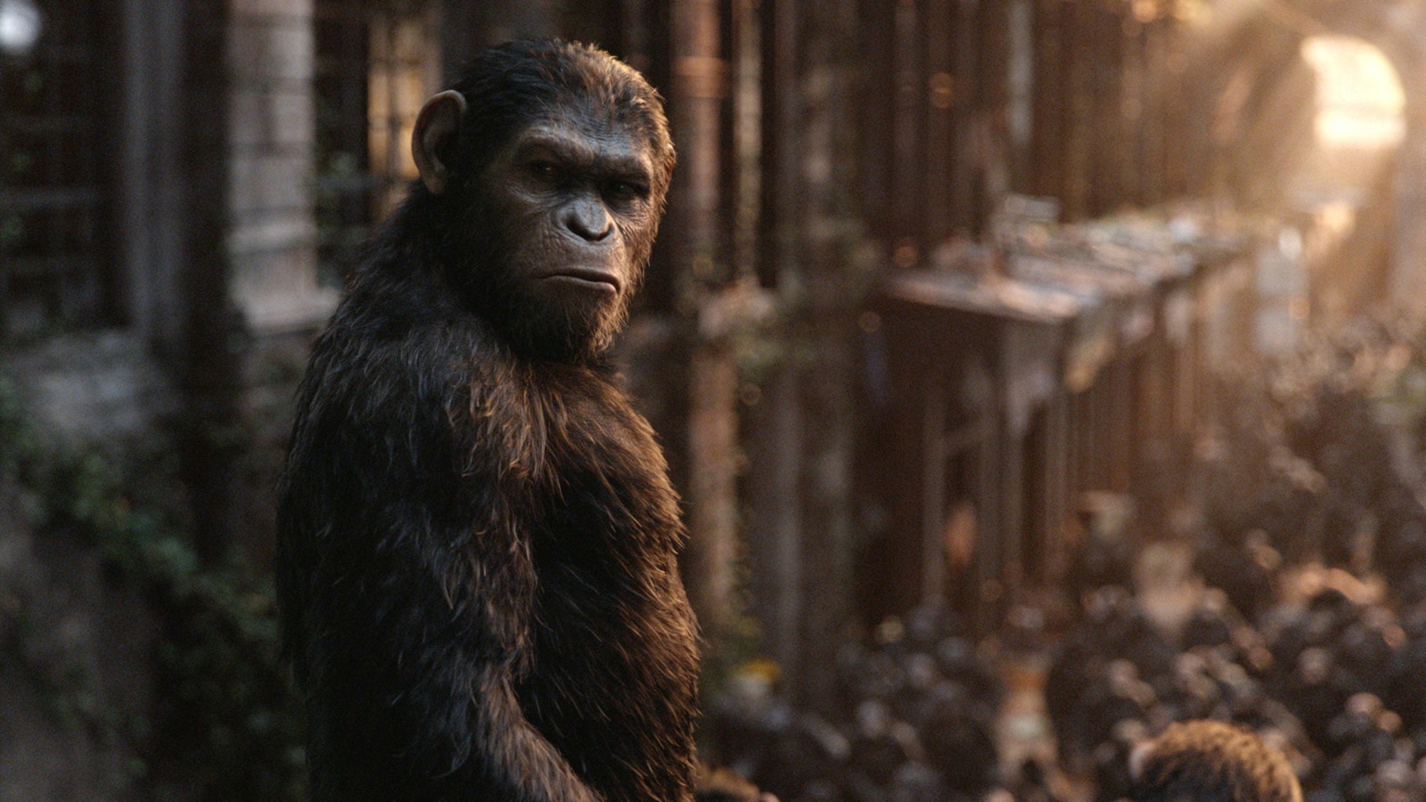 Matt Reeves suggested some radical changes for Dawn of the Planet of the Apes when he took over the film
