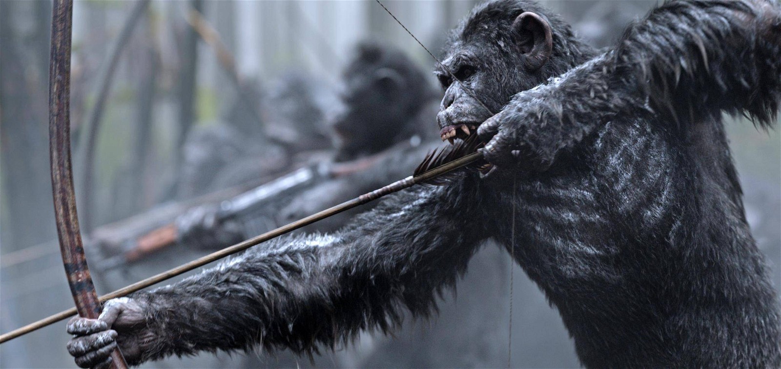 A still from War for the Planet of the Apes (2017)