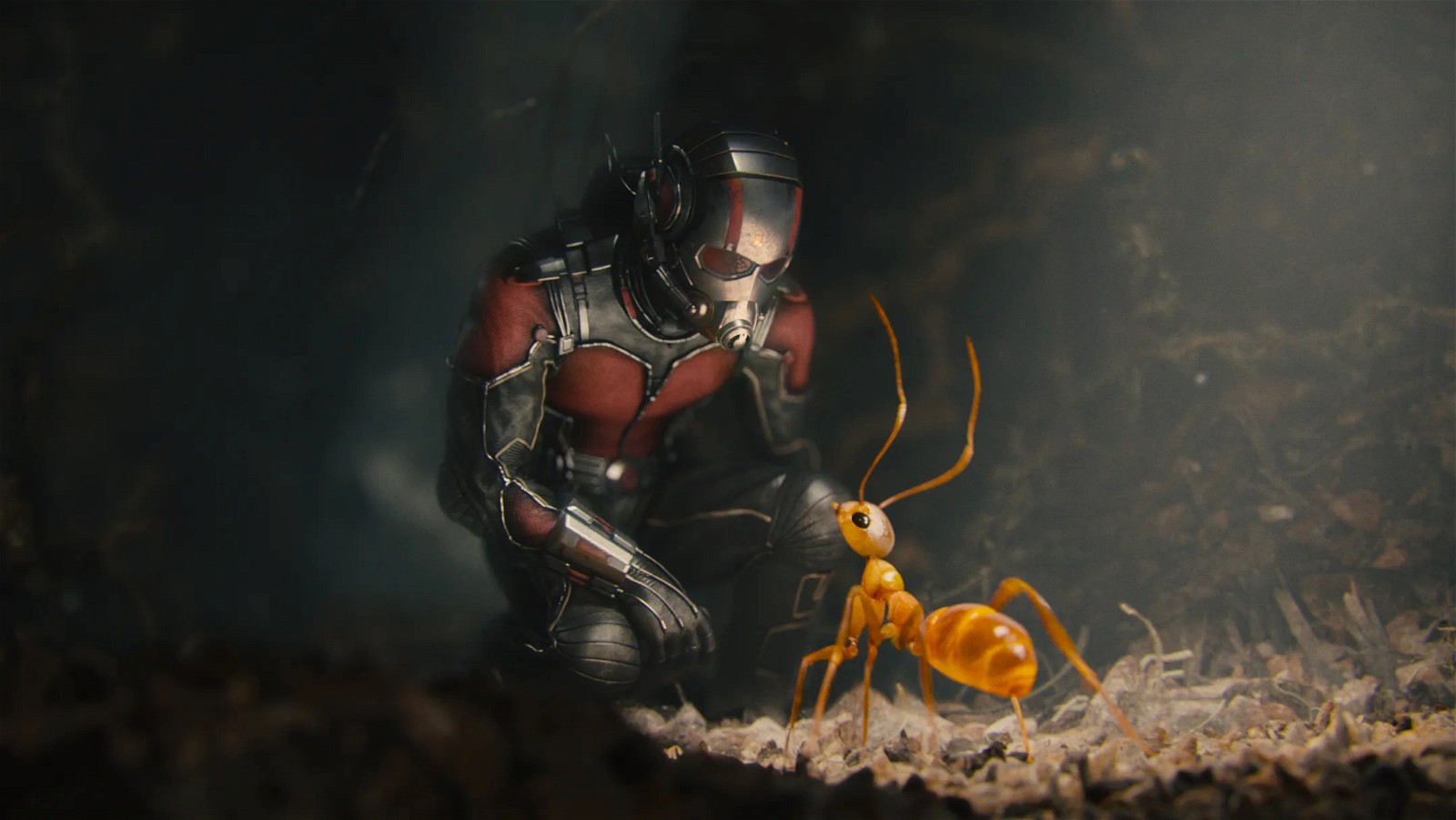Paul Rudd in Ant-Man [Credit Marvel Studios]