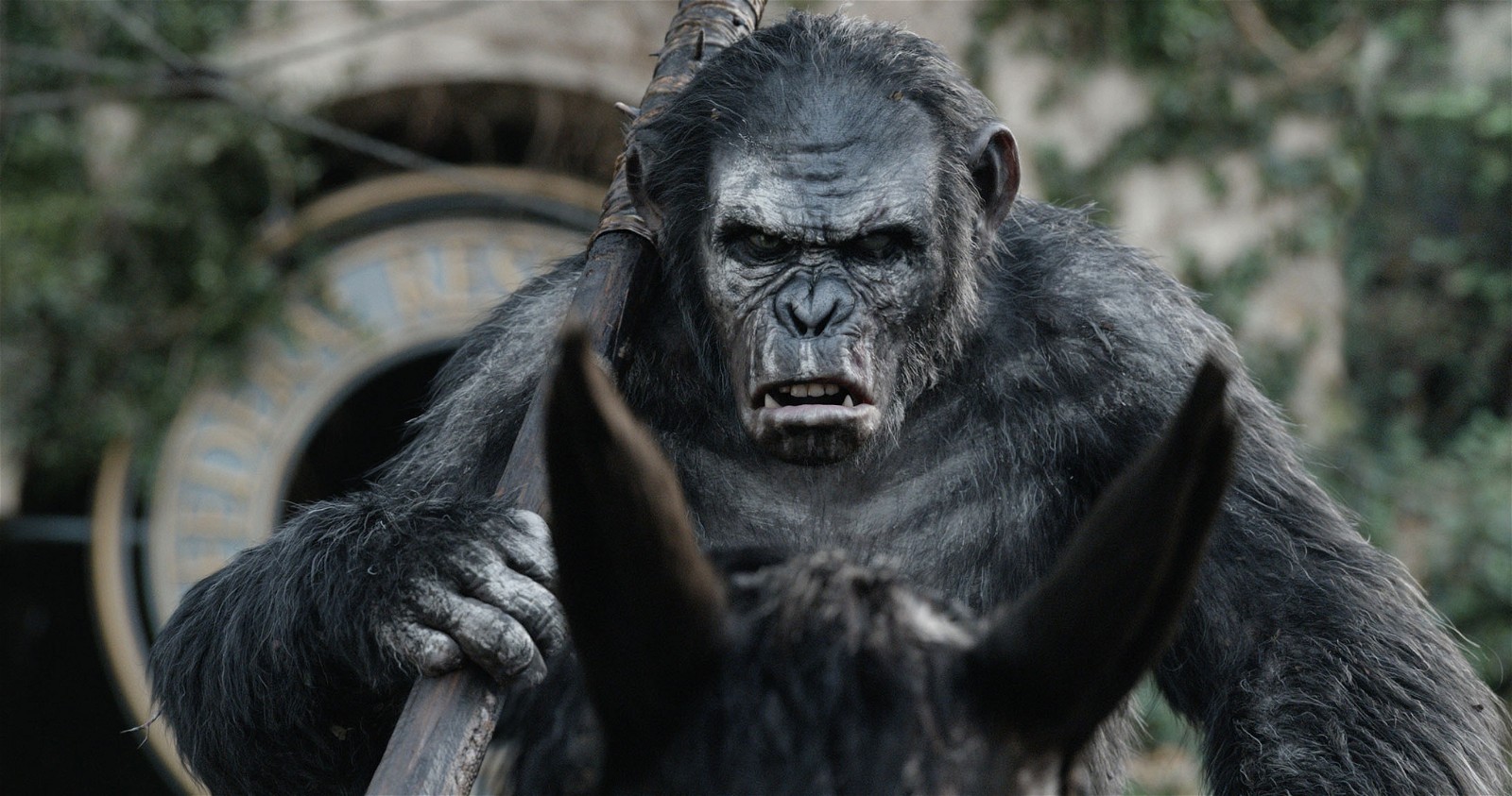 Dawn of the Planet of the Apes | Credit: IMDb