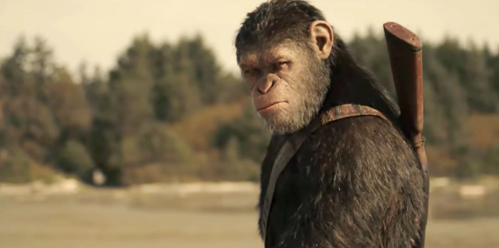Andy Serkis in still from War for the Planet of the Apes (2017)
