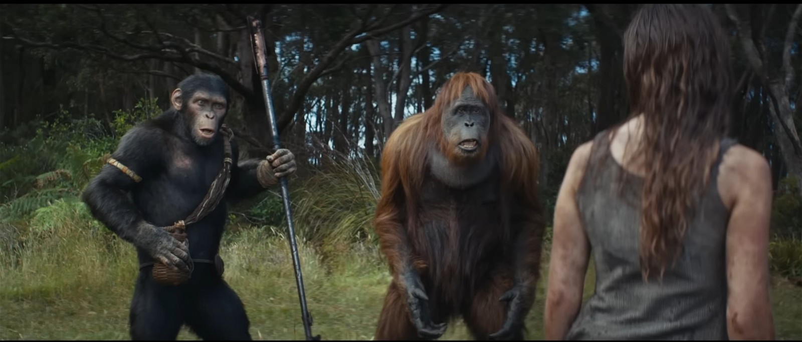 Disney's Kingdom of the Planet of the Apes