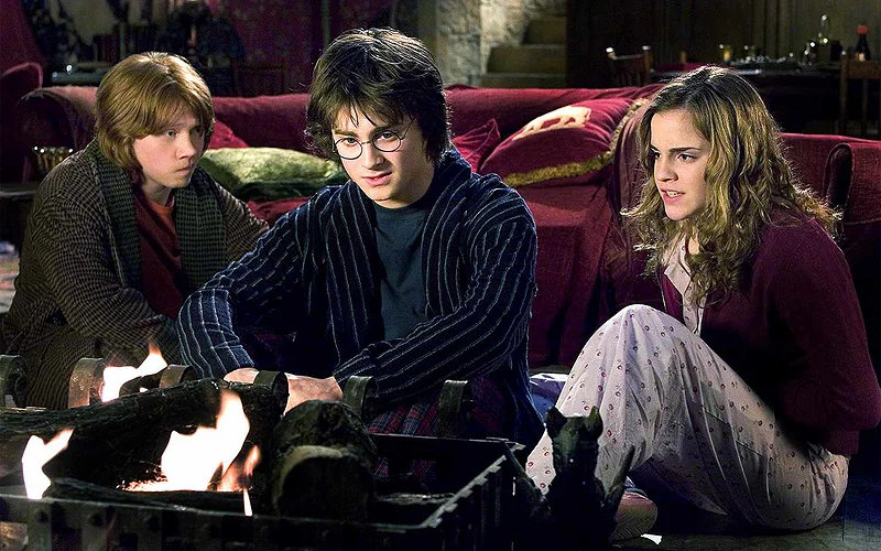 Every Major Magical Potion in Harry Potter, Explained and Ranked 29 Harry Potter trio in the Goblet of Fire