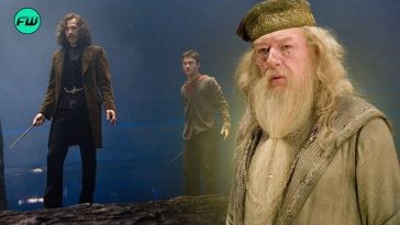 Albus Dumbledore, Sirius Black and Harry Potter