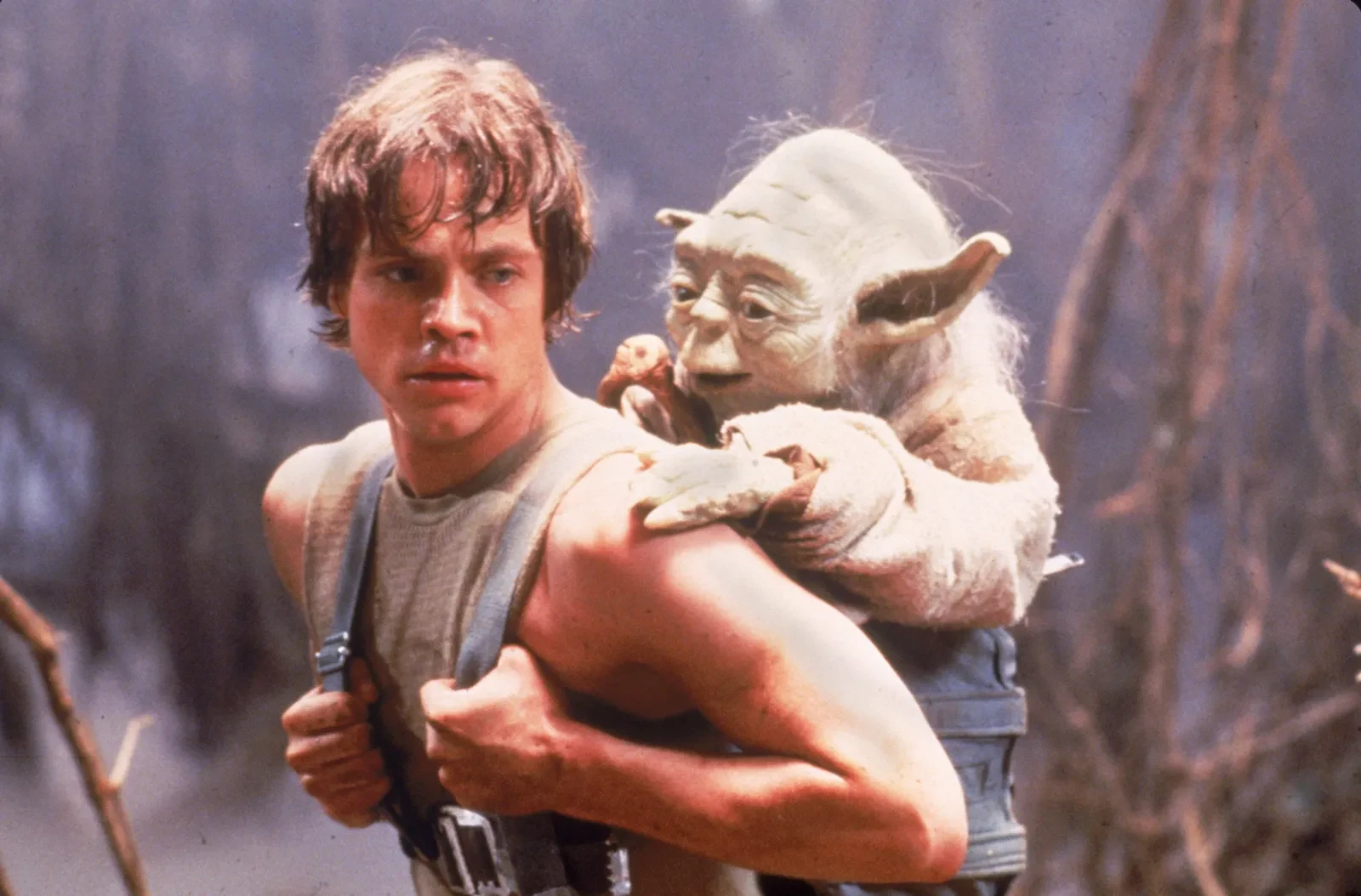 Luke Skywalker with Yoda in Star Wars: The Empire Strikes Back