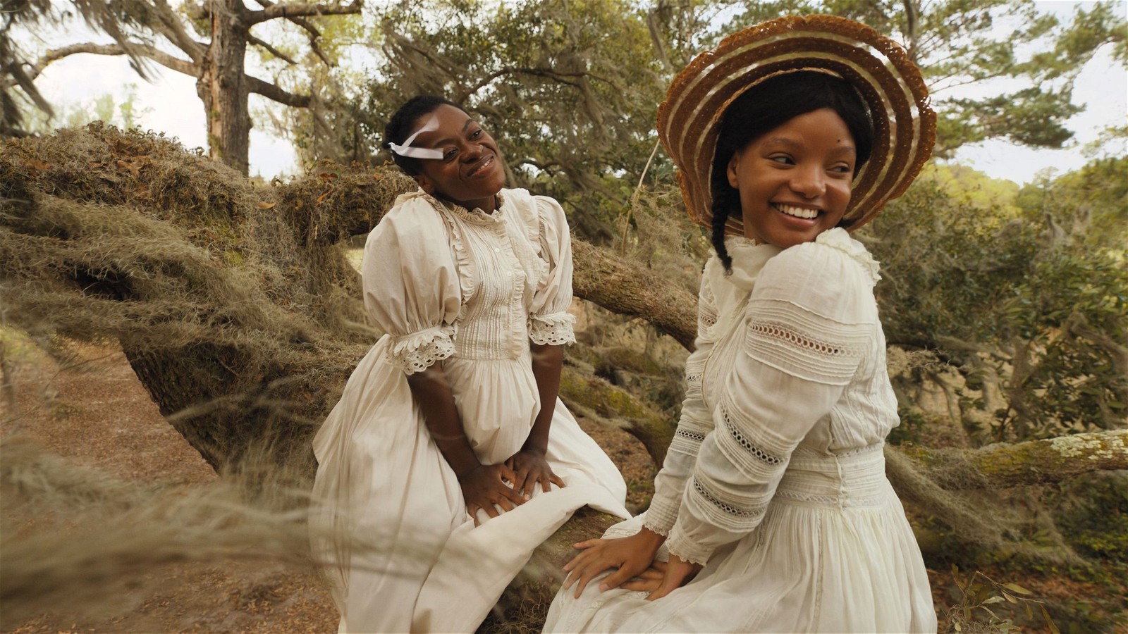 The Color Purple (2023) [Credit Warner Bros. Pictures]