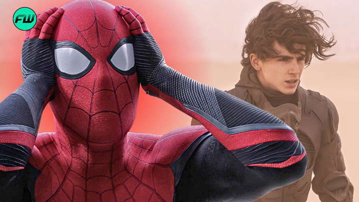 If Timoth e Chalamet Joins Tom Holland s Spider Man 4 As Harry Osborn if-timoth-e-chalamet-joins-tom-holland-s-spider-man-4-as-harry-osborn