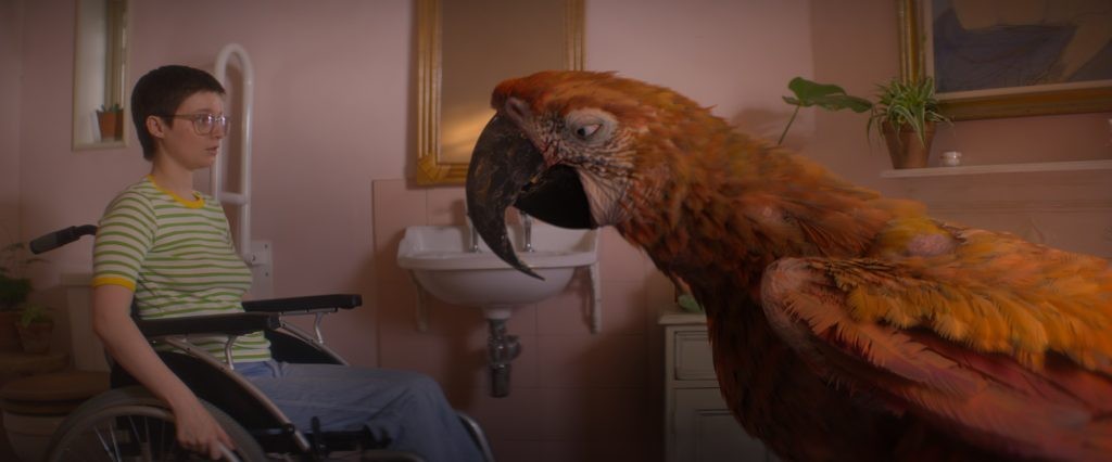 Tuesday A24 - A parrot named death meets a young terminally ill woman named Tuesday (Lola Petticrew).