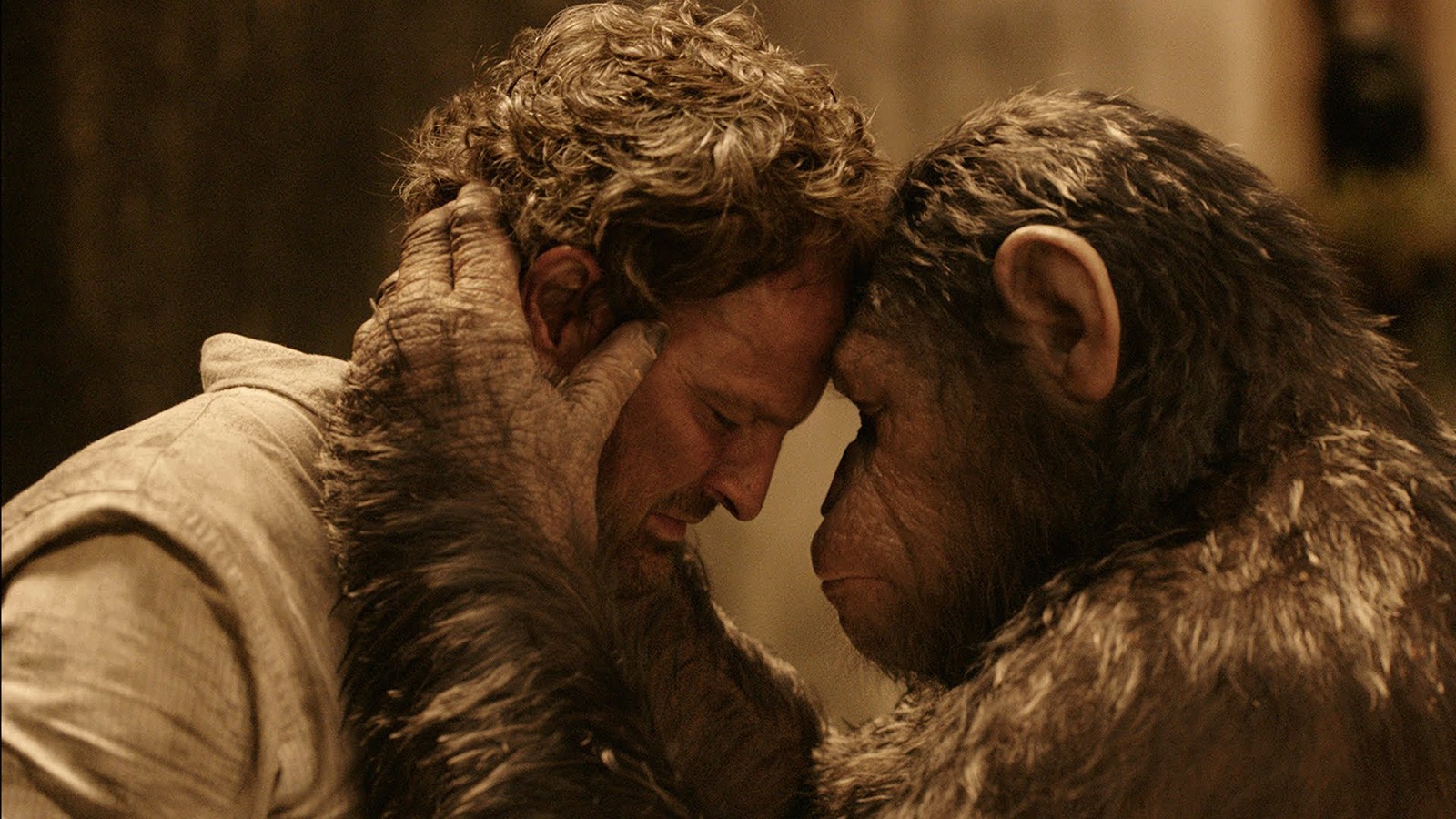 Dawn of the Planet of the Apes (2014) 