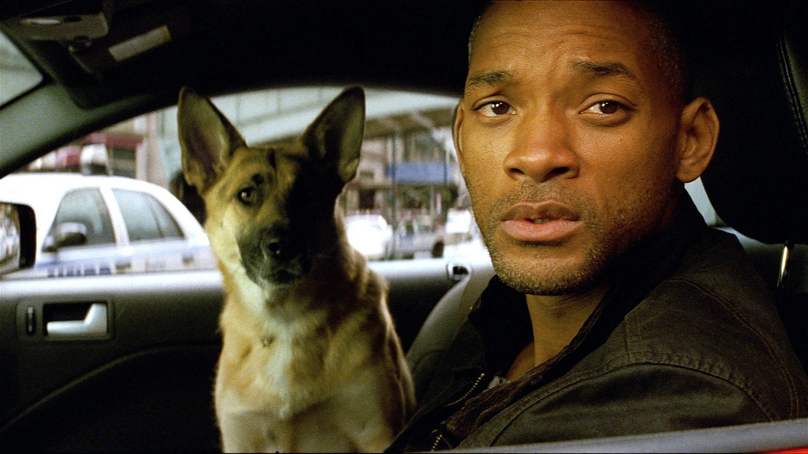 Will Smith was enamored by his canine co-star Abbey while shooting I Am legend | Warner bros Pictures