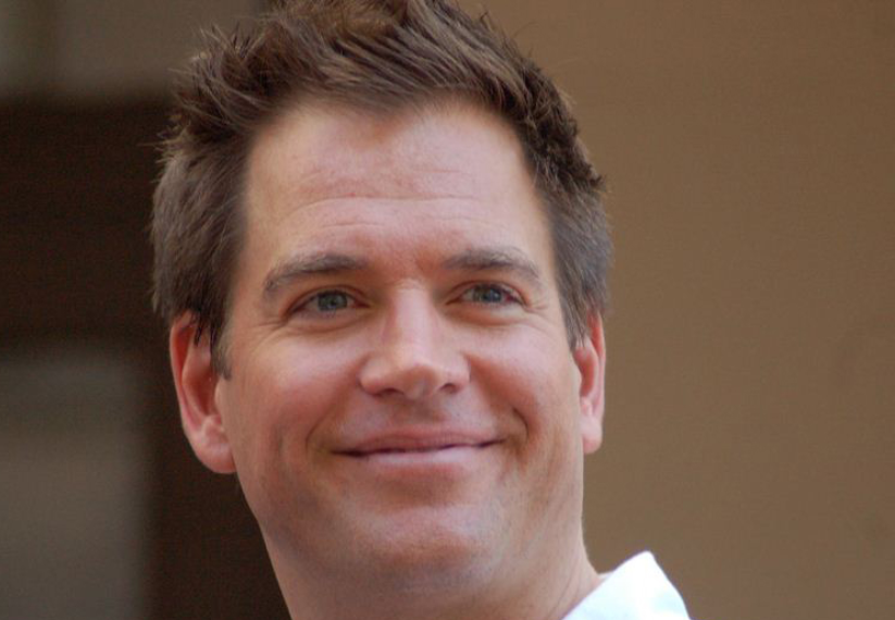 Michael Weatherly, a well-known actor best known for his role as Tony DiNozzo on NCIS, has a net worth of $45 million. 