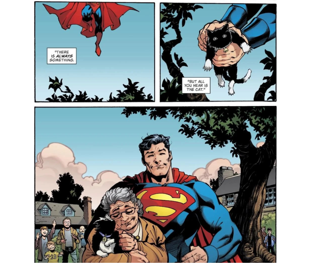The iconic "cat rescue" moment in the comics. | Credit: DC Comics.