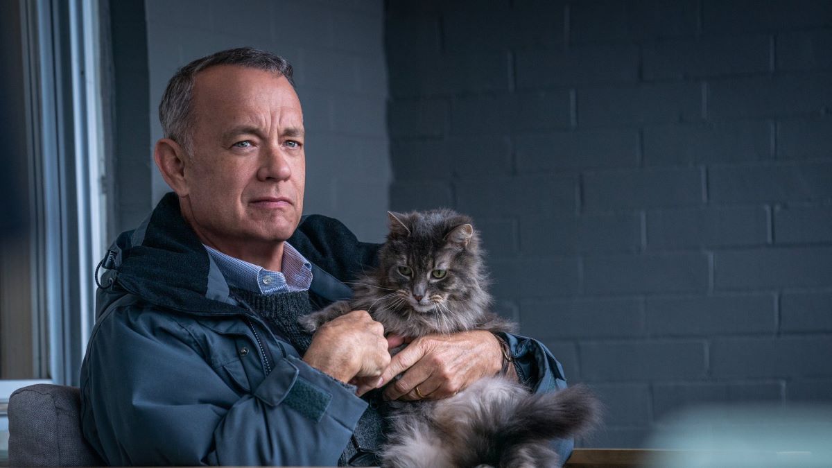 “Thought it was the young Sheldon spinoff show”: Tom Hanks’ Movie ‘Here’ is So Unique It Leaves Fans in Utter Confusion