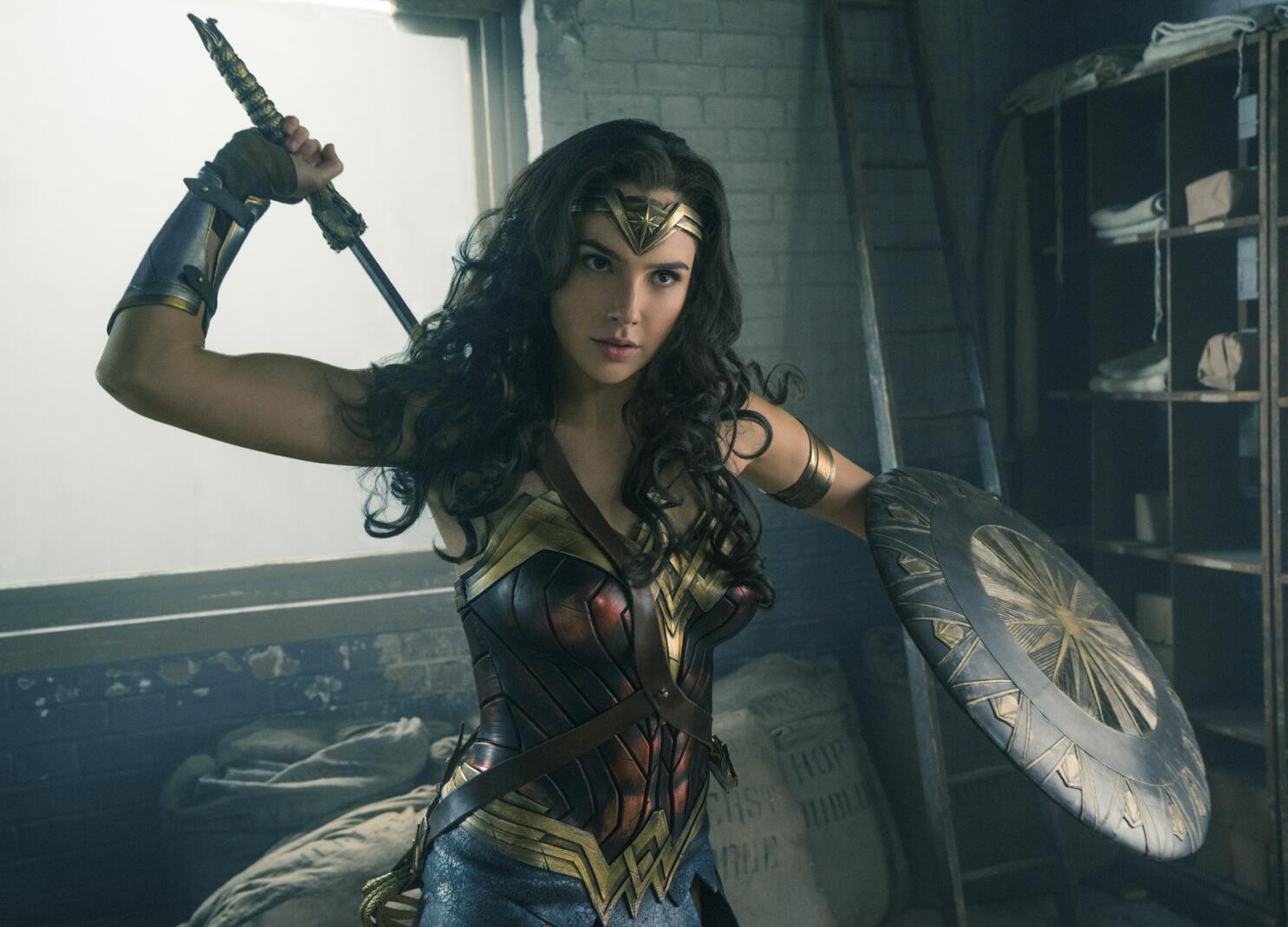 Wonder Woman star became the first female superhero in Zack Snyder's DCU | Warner Bros Pictures