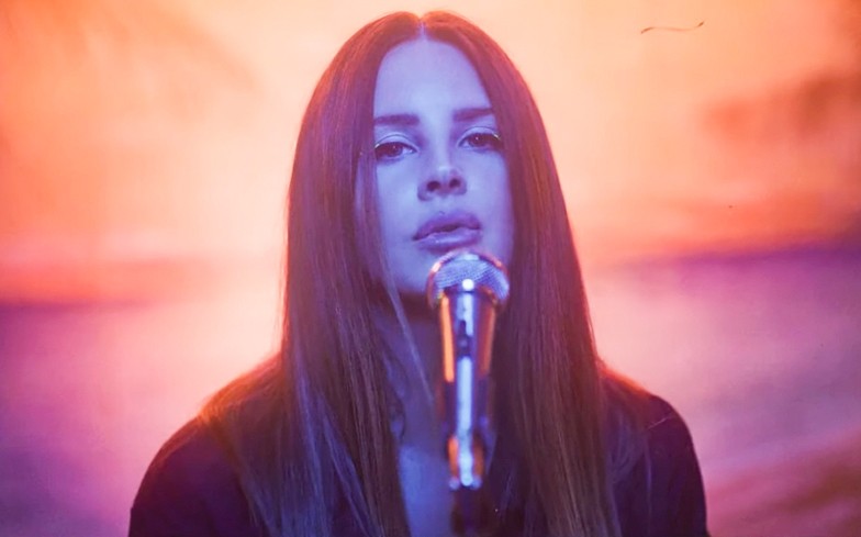 Lana Del Rey intended to pen a song for the 2015 James Bond movie, Spectre.
