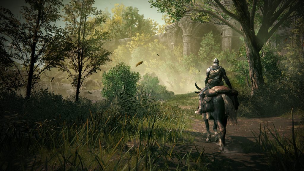 Elden Ring screenshot of player